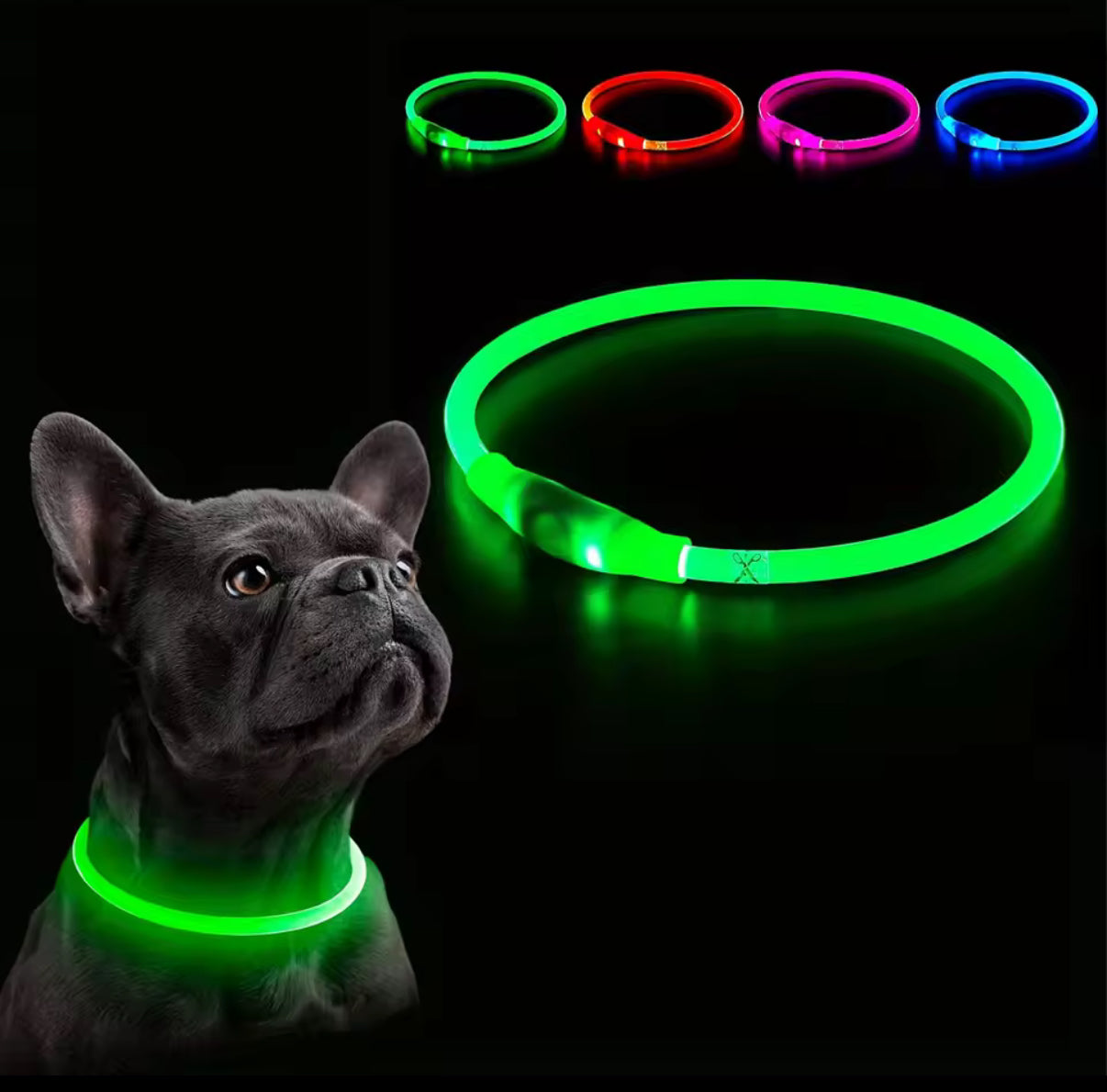 Collar para tu mascota luminoso recargable